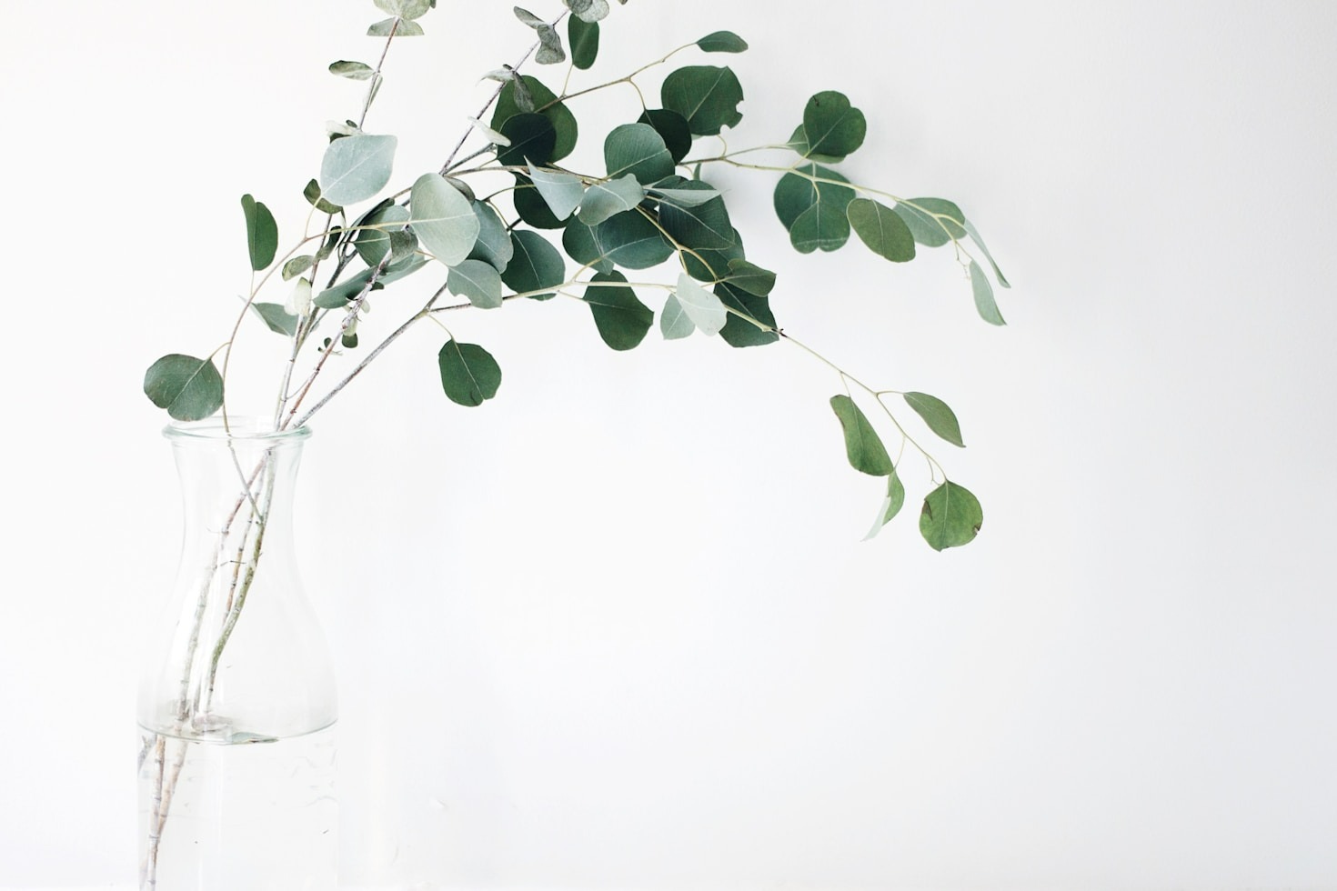 Receitas Simples e Nutritivas Para o Seu Dia a Dia